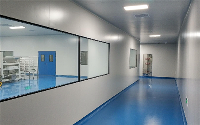 खोखले कैप्सूल उत्पादन लाइनों के क्लीनरूम निर्माण में अस्थिर तापमान और आर्द्रत...