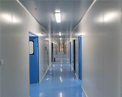 खोखले कैप्सूल उत्पादन लाइनों के क्लीनरूम निर्माण में बेमेल सफाई स्तर की समस्या